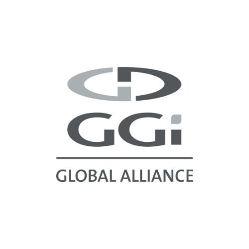 GGI Expert Group Summit