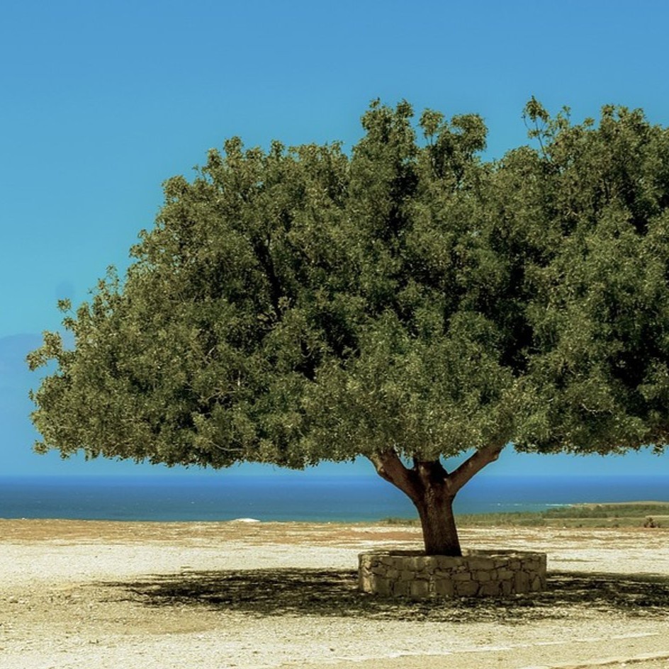 Why Cyprus has emerged as a business hub and prime relocation destination